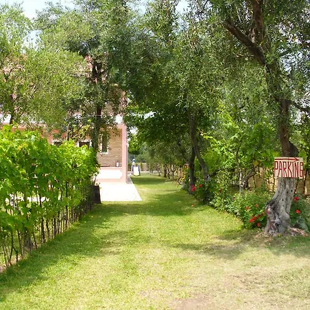 Olga's Garden