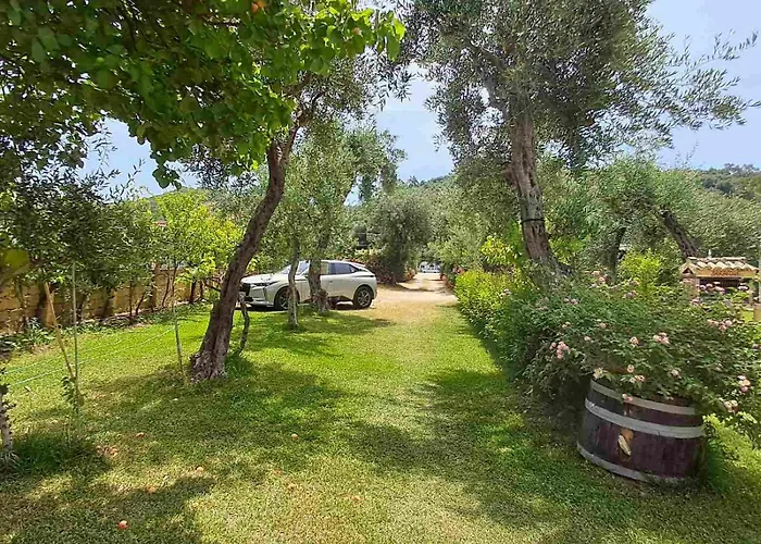 Olga's Garden
