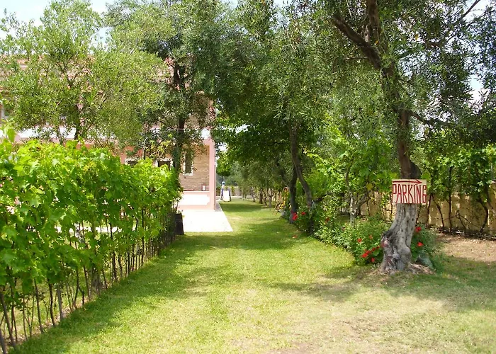 Olga's Garden