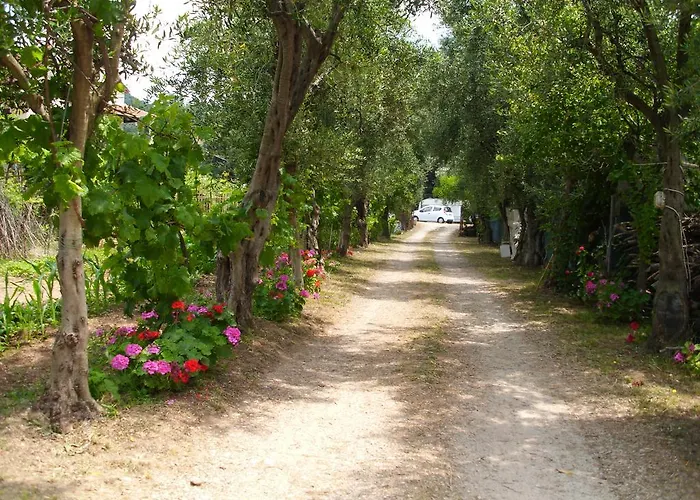 Olga's Garden Almiros Beach