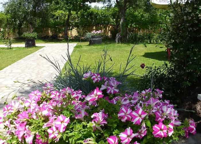Olga's Garden *