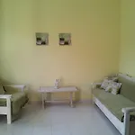 Olga's Garden *