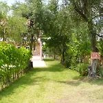Olga's Garden