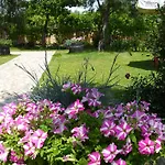 Olga's Garden *