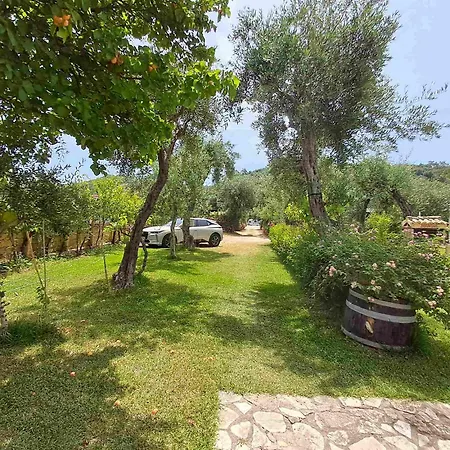 Olga's Garden