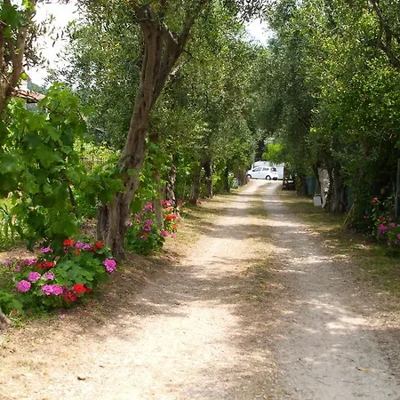 Olga's Garden Almiros strand