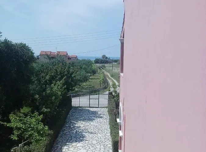 Olga's Garden